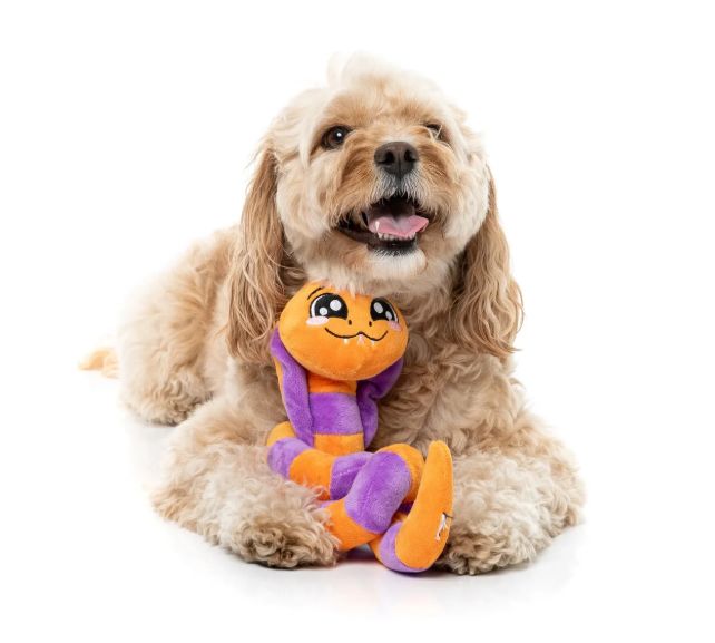 FuzzYard Halloween Sss-Teven The Snake Plush Dog Toy