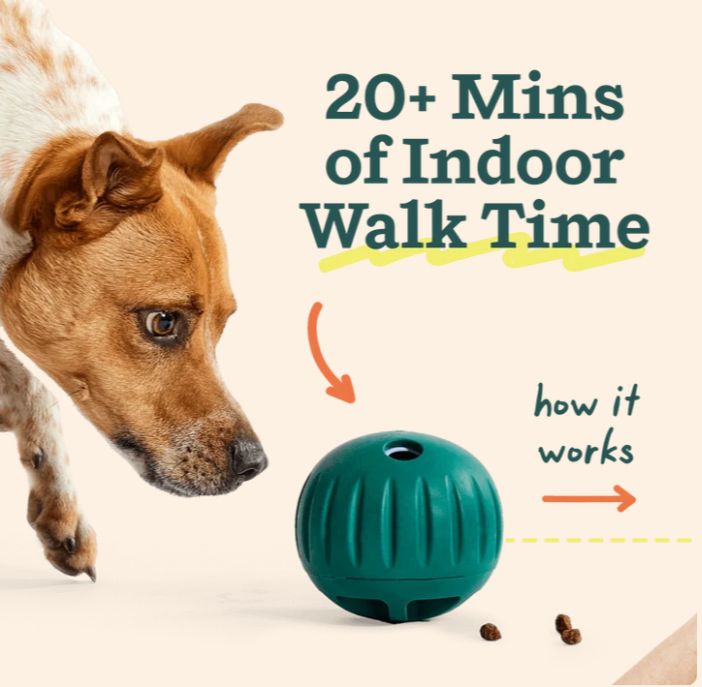 WOOF DOG FORAGER WALKABOUT LARGE
