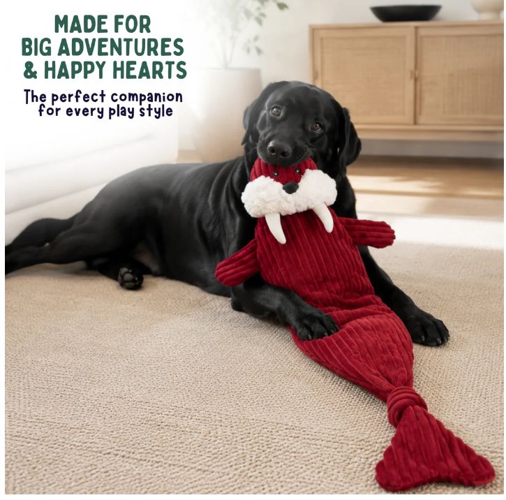 HUGGLE HOUNDS HOLIDAY FLAT WALRUS 43"