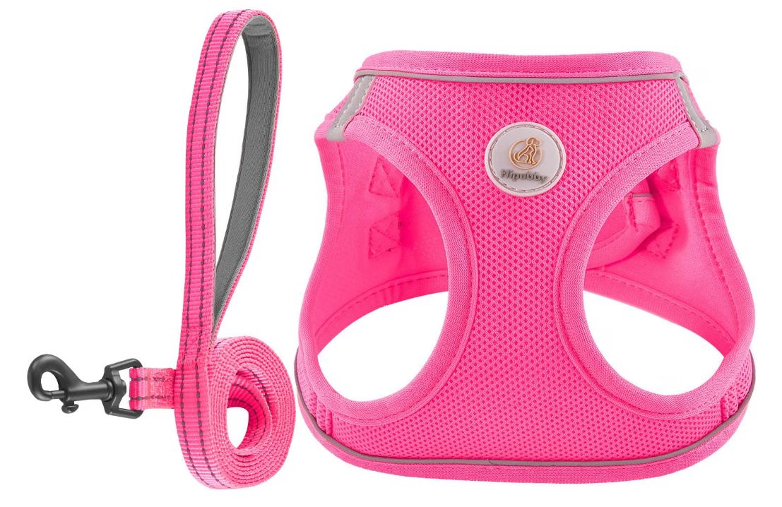 Hipubby Dog Harness &amp; Leash XXS Pink