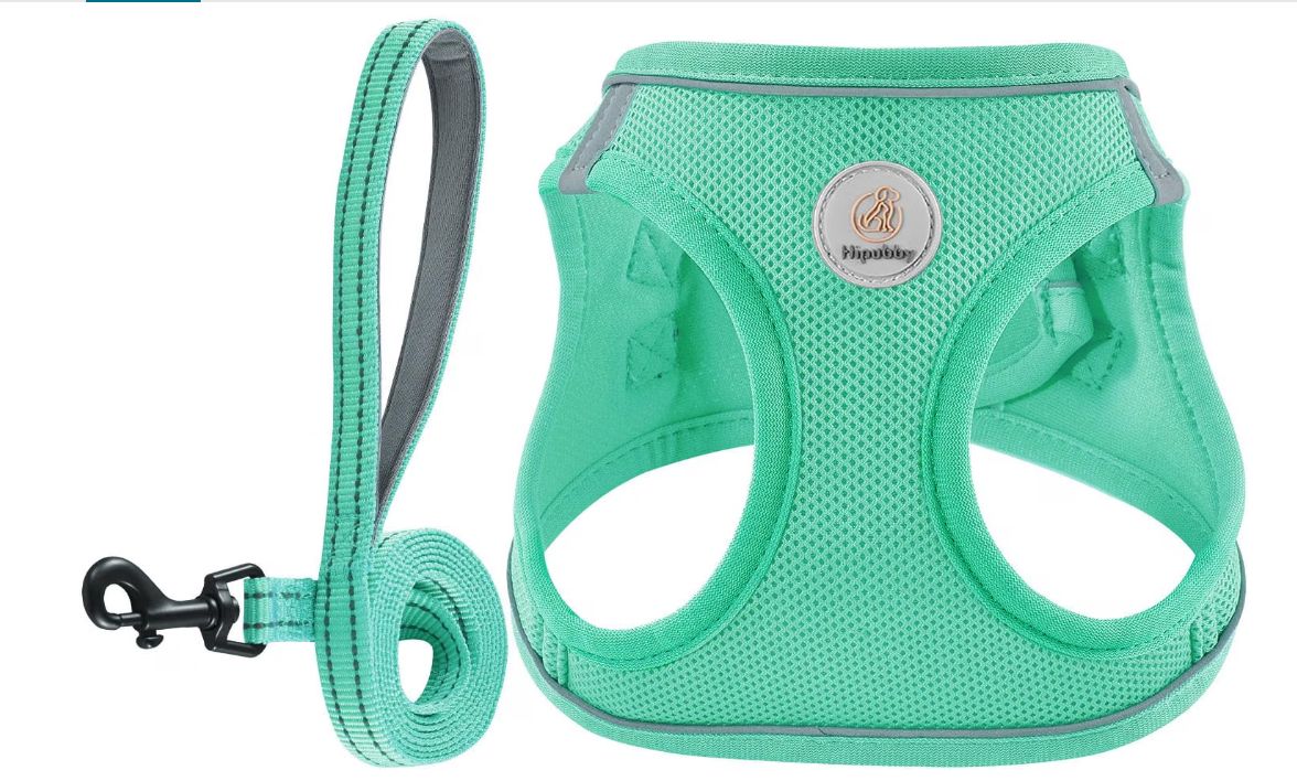 Hipubby Dog Harness &amp; Leash Small Mint Green