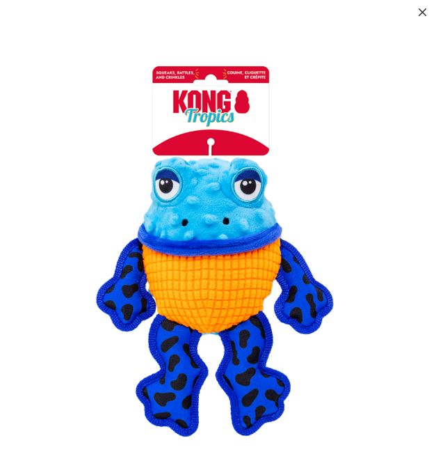 KONG DOG TROPICS RATTLEZ FROG MEDIUM / LARGE