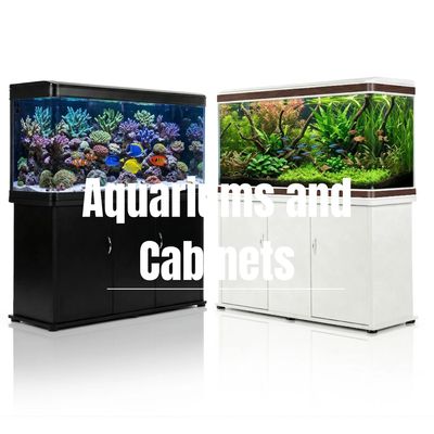 1. Aquariums &amp; Cabinets