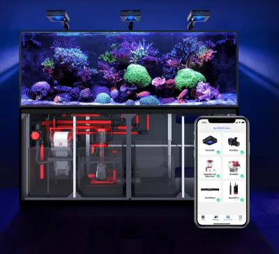 4. Marine & Reef Systems
