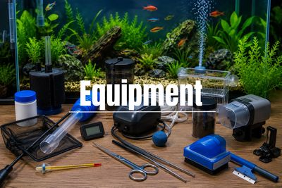 3. Equipment