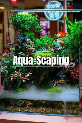 2. Aqua-Scaping