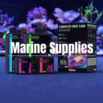 6. Marine Supplies