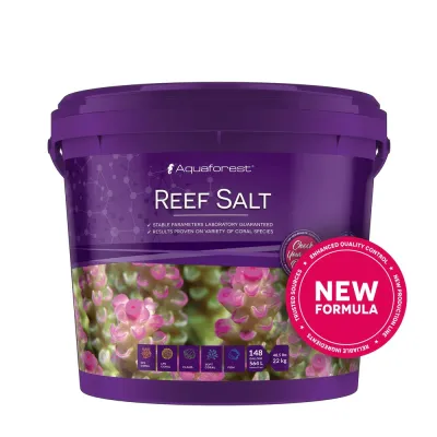 Salt