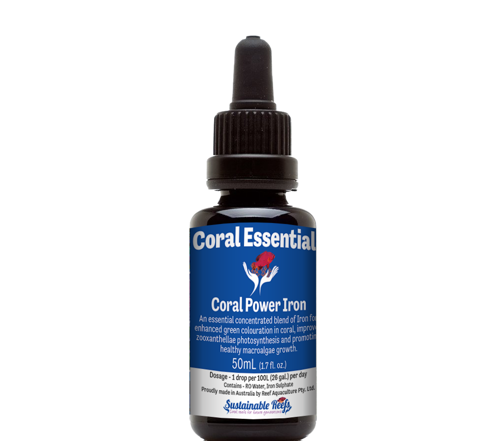Coral Essentials - Coral Power Iron