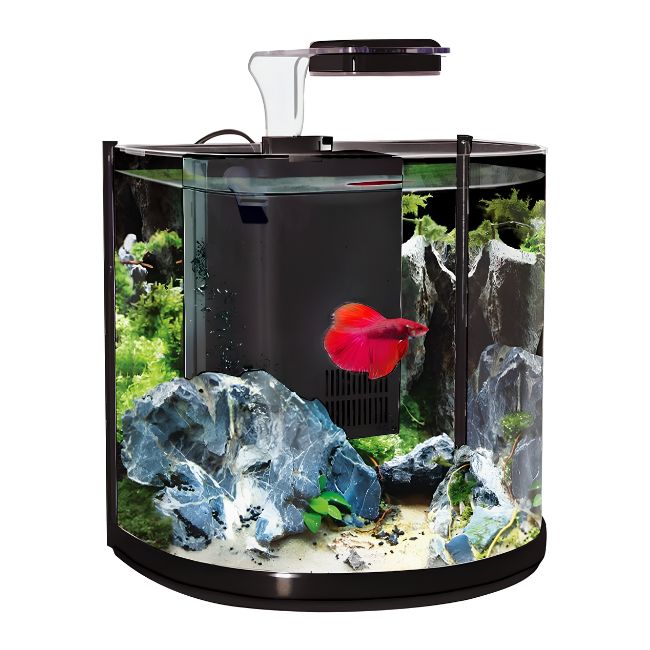 Aqua One - BT10 Betta Aquarium Kit | 10 L