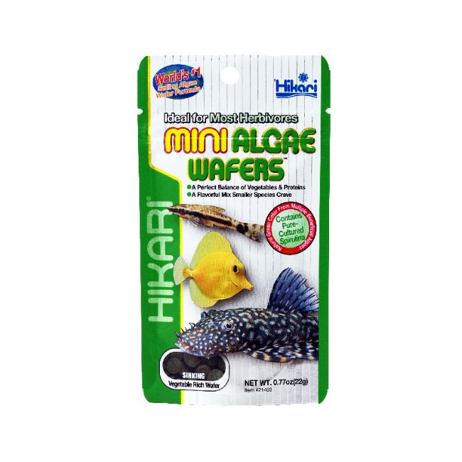 Hikari - Tropical Mini Algae Wafers