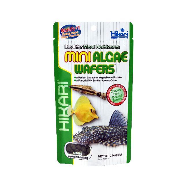 Hikari - Tropical Mini Algae Wafers