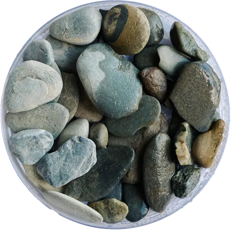 Golden Tree - Riverbed Gravel