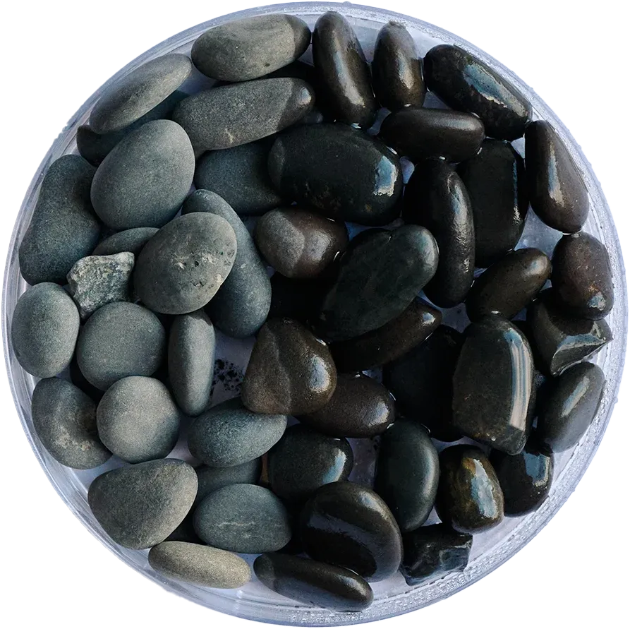 Golden Tree - Black Stone Gravel