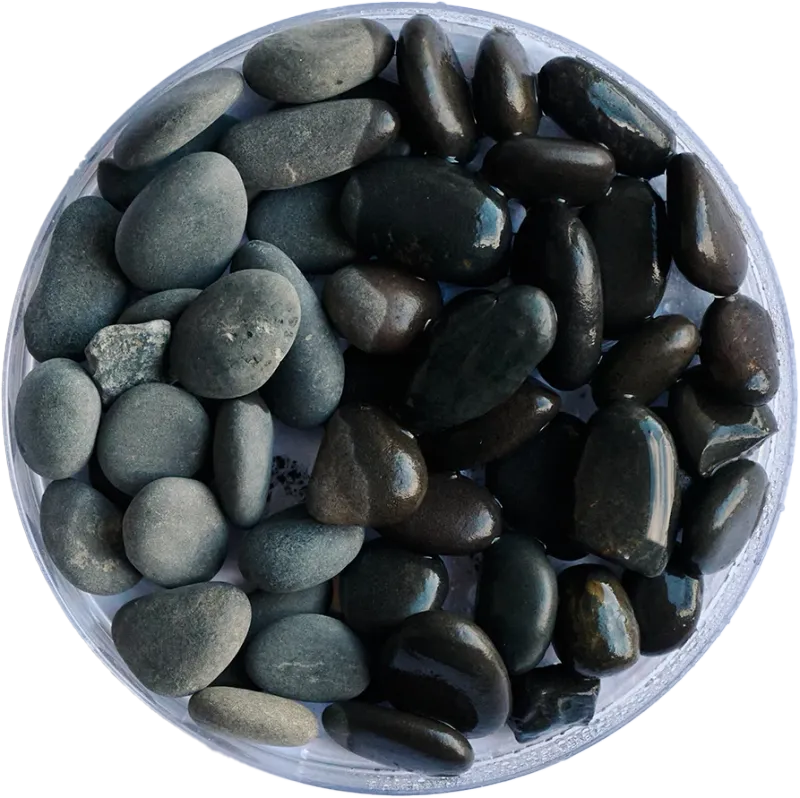 Golden Tree - Black Stone Gravel