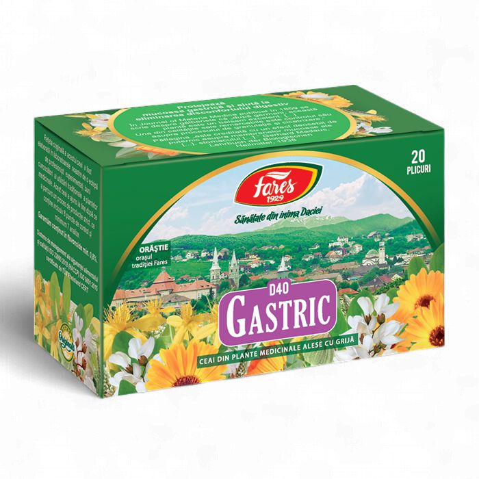 FARES CEAI GASTRIC