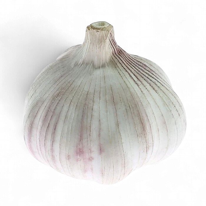 USTUROI