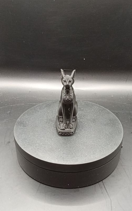 Ägyptische Katzen startur