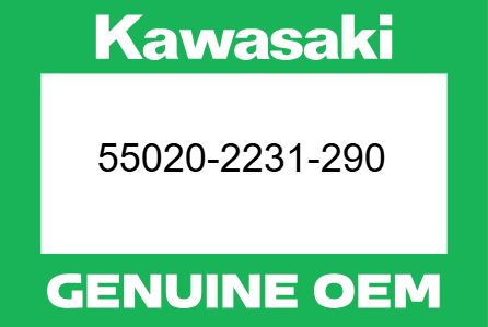 55020-2231-290