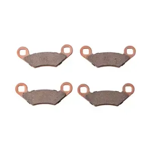 Polaris Brake Pad Kit - 2202412