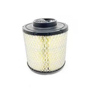 Polaris OEM Air Filter - 7082037