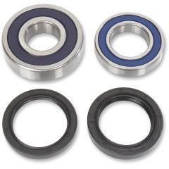 All Balls Rear Wheel Bearing Kit - 25-1689