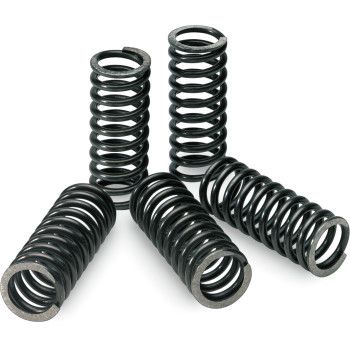 Pro Circuit Clutch Spring Set - CSK10250-CS