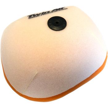 Twin Air Air Filter - 151124