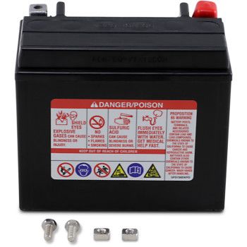 YUASA Battery YTX12-BS Maintenance Free