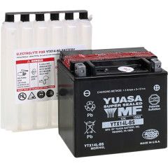 YUASA Battery YTX14L-BS Maintenance Free
