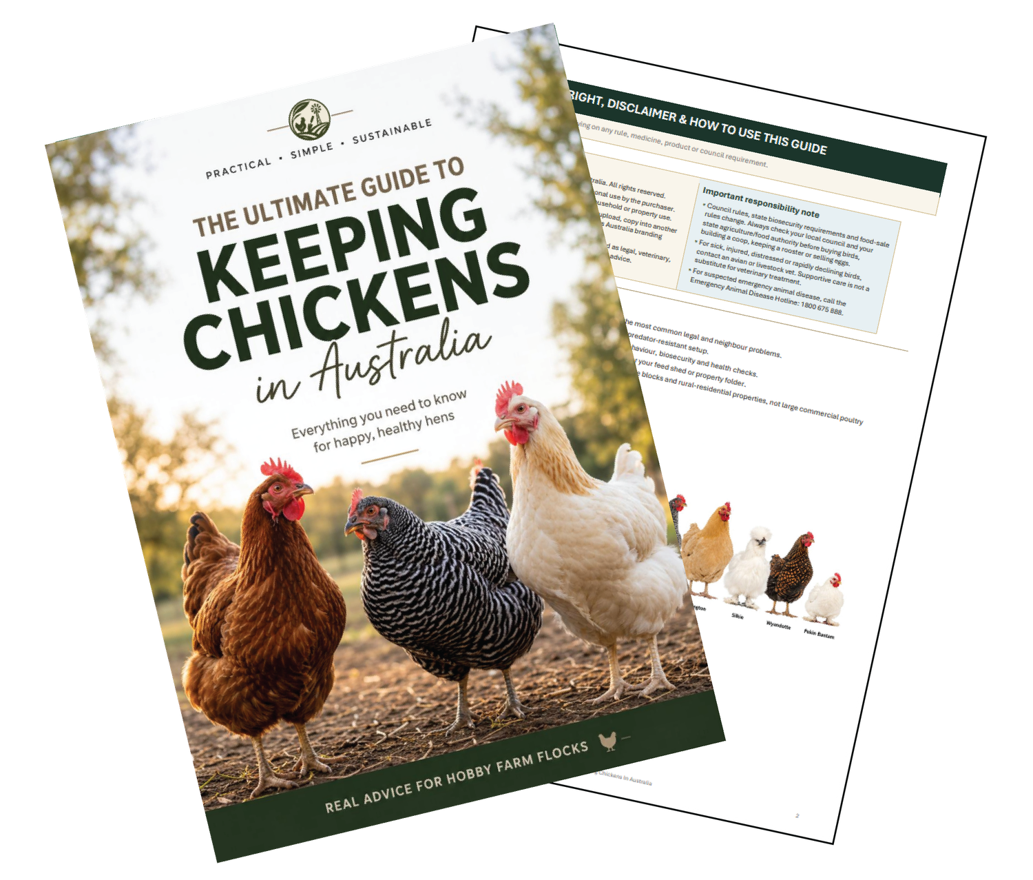 The Ultimate Guide to Keeping Chickens in Australia