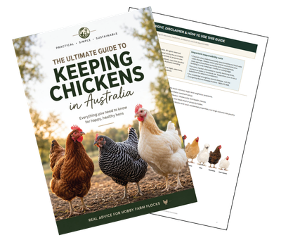 The Ultimate Guide to Keeping Chickens in Australia