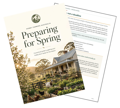 Preparing For Spring
