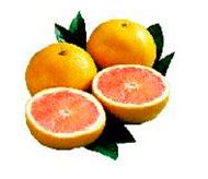 Star Red Grapefruit 2 Ct