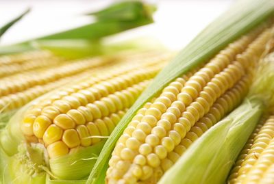 Fresh Sweet Corn (Sut Misir) 4pcs With Cover