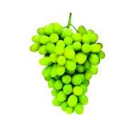Seedless Green Grapes 2lb
