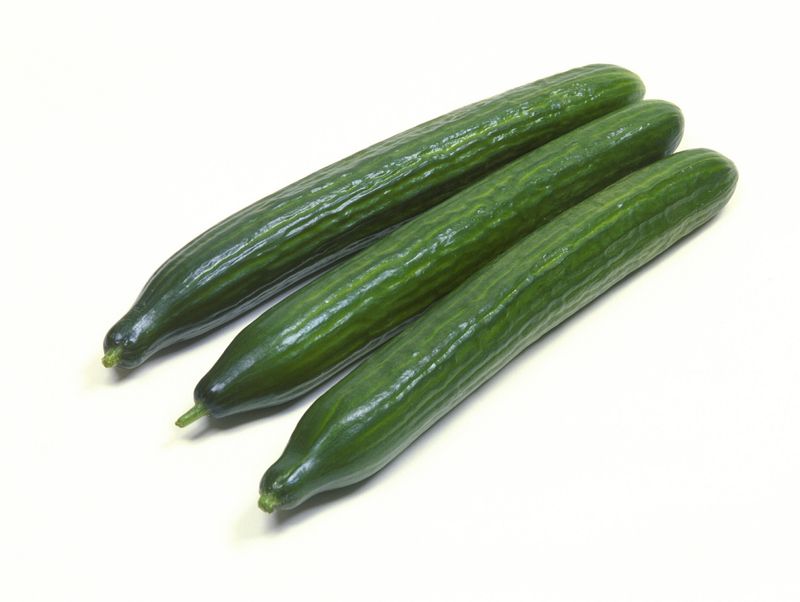 Bologna Long Dutch Cucumber 3pcs