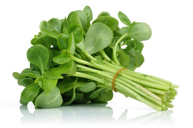 Turk Usulu Semiz Otu Semizotu - Amish Farm Green Purslane - Verdolaga ~6oz