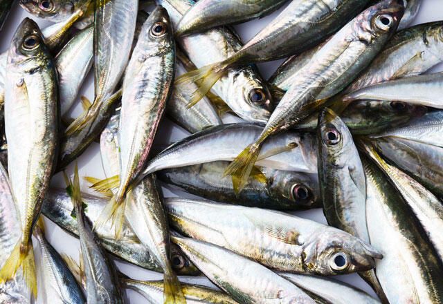 Temizlenmis Istavrit Horse Mackerel By Fish Avenue (Frozen) 32oz