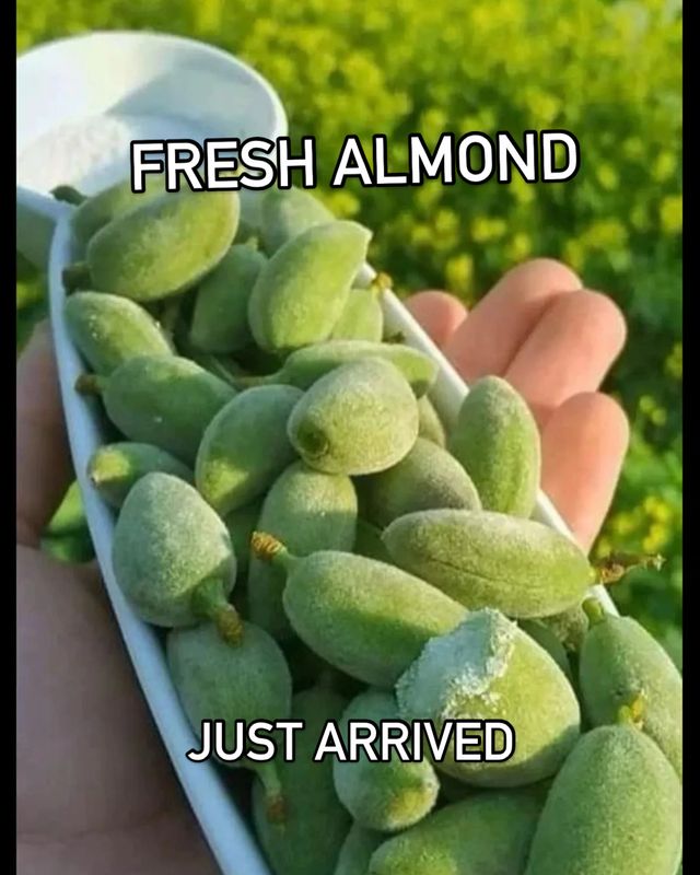 Cagla ~ Fresh Almond 1lb