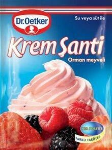 DR. OETKER Whipped Cream Fruit (Krem Santi Orman Meyveli) 72g