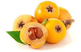 🍑 Loquat (Malta Plum) – Fresh &amp; Seasonal Delight Malta Erigi - ~2 lb