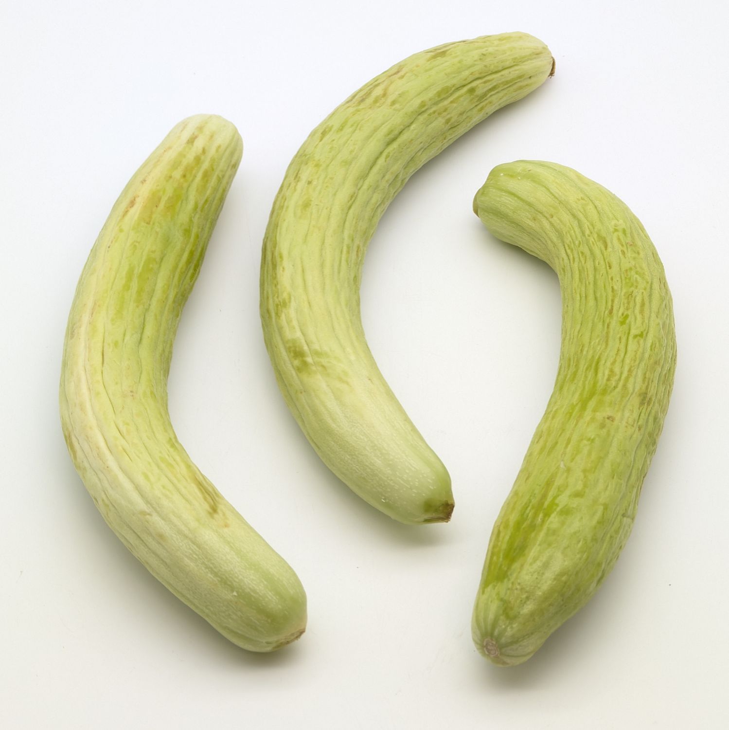 White Cucumbers - Acur 1lb (~3pcs)
