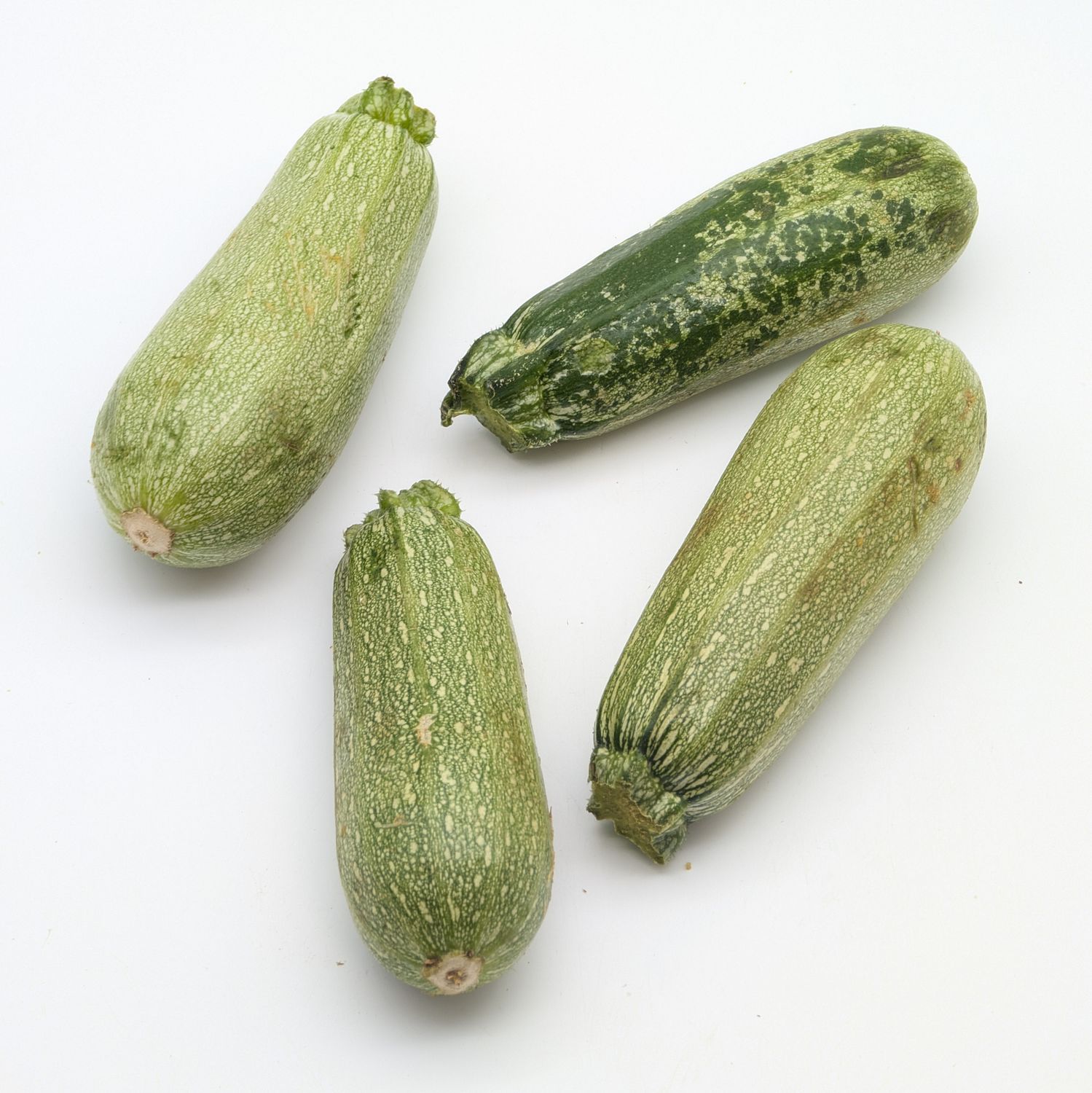 Squash for stuffing - Dolmalik Kabak 1lb (~4pcs)