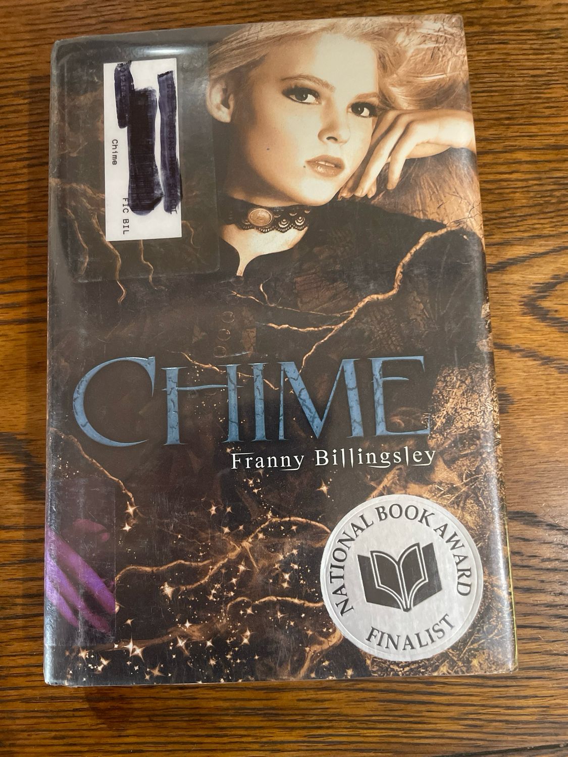 Chime by Franny Billingsley