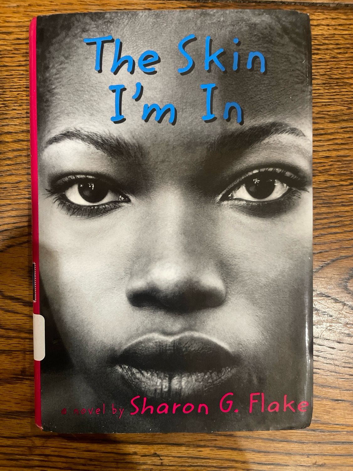 The Skin I’m In by Sharon G. Flake