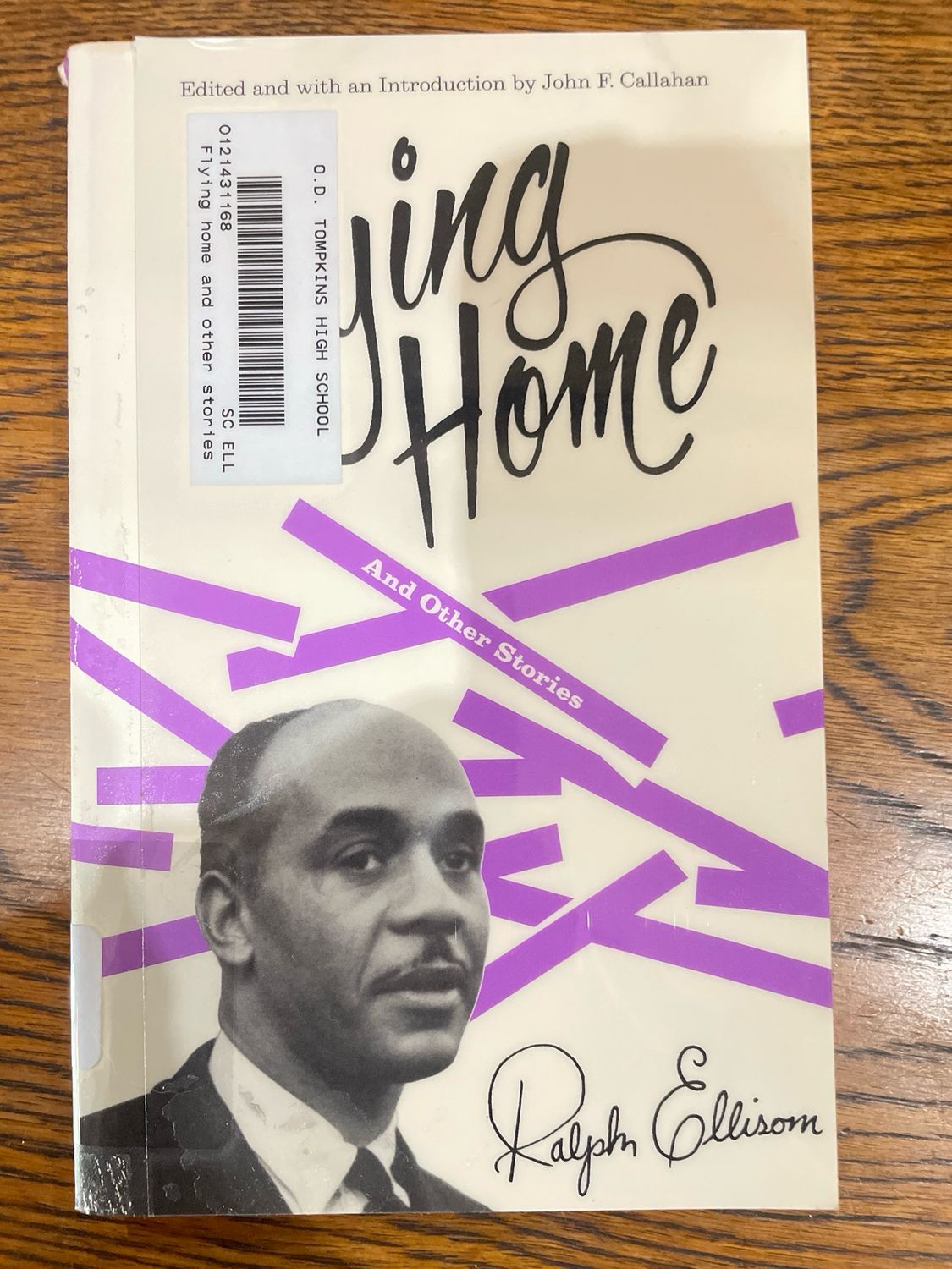 Flying Home by Ralph Ellison