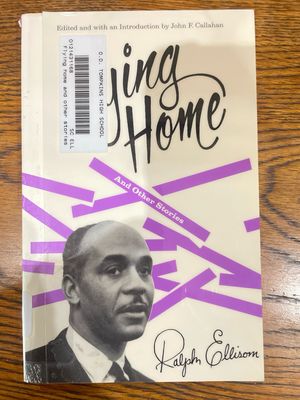 Flying Home by Ralph Ellison