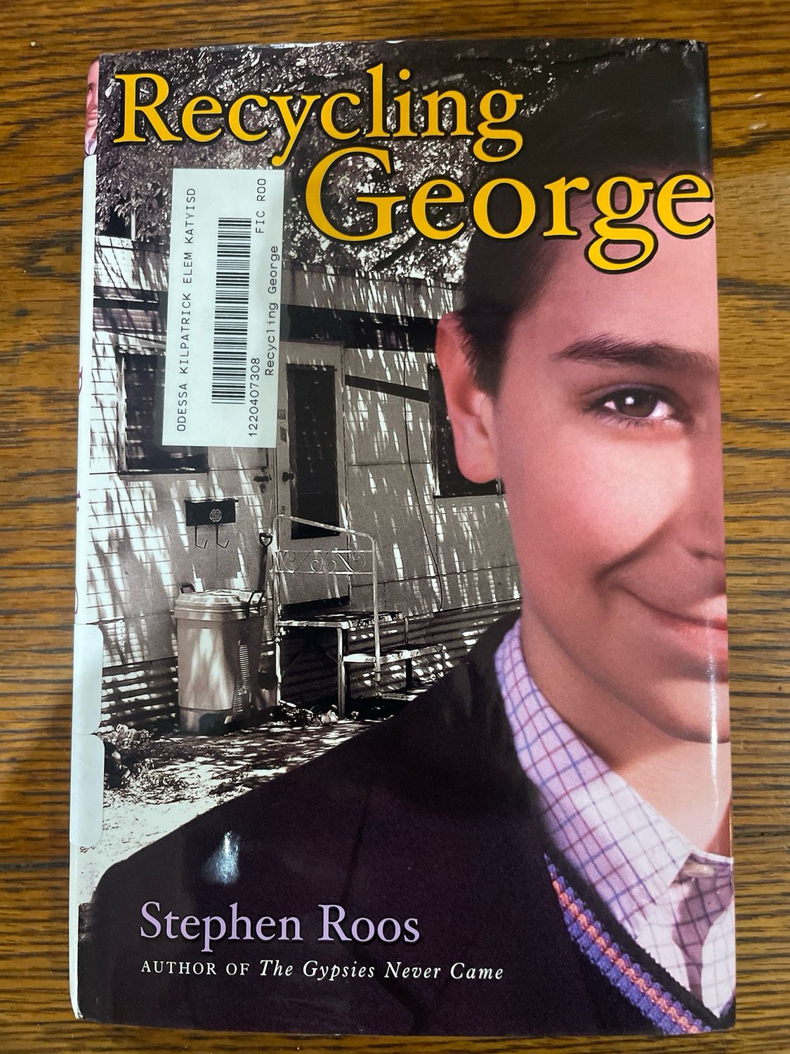 Recycling George by Stephen Roos