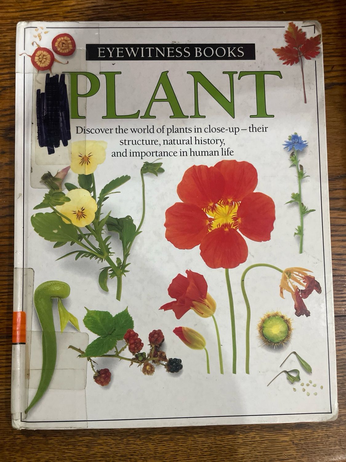 Eyewitness Books: Plant by David Burnie